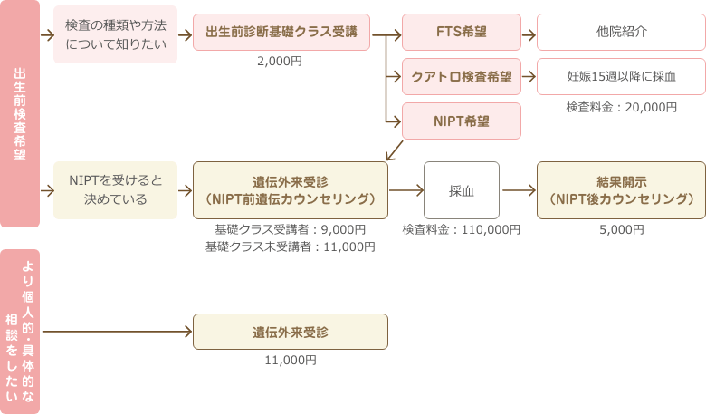 遺伝外来・出生前検査の一般的な流れ