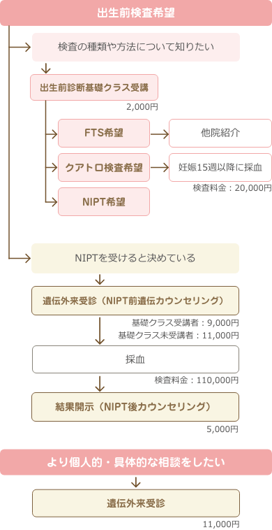 遺伝外来・出生前検査の一般的な流れ