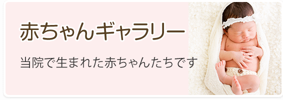 赤ちゃんギャラリー